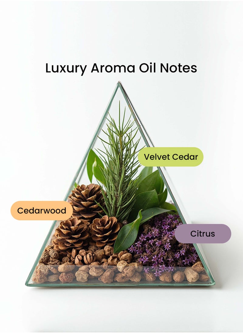 Dr Zayscent - Dr Zay Scent Diffuser Aroma - Luxury (500ml) - Image 1