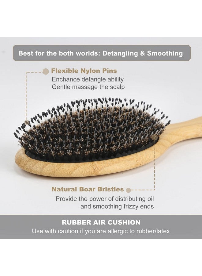 BESTOOL Hair Brush, Boar & Nylon Bristle Brush for Women men Kid, Oval Brush for Wet/Dry Hair Smoothing Massaging Detangling, Enhance Shine & Health - Image 2