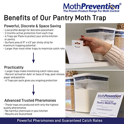 MothPrevention Powerful Pantry Moth Traps Pack of 6 | Moth Killer with Pheromones | Kitchen Moth Trap for Your Home | Maximum Pheromone Dispersal | No Odor - Image 2