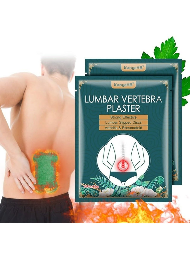 كاني إتش بي ملصقات حرارية لاصقة 12 قطعة لعلاج فوري، ملصقات شواء فقرات الظهر الفاخرة - Image 1
