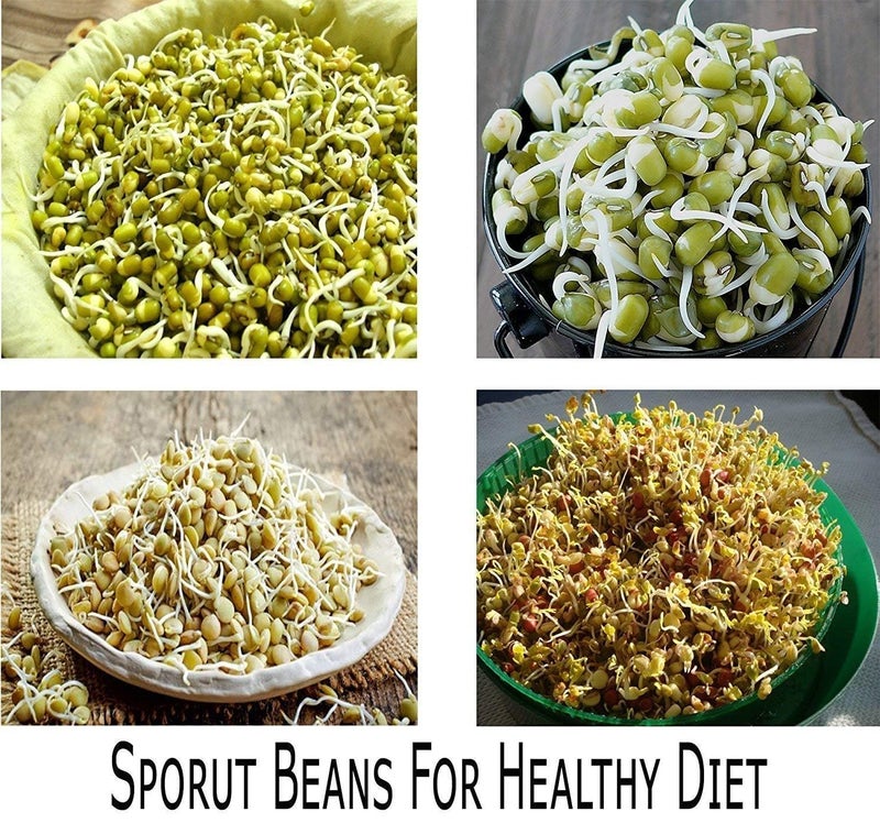 Shuttle Art 2025 Upgraded Plastic Hygienic Sprout Maker Box with 4 Container Organic Home Making Transparent Fresh Sprouts Makers for Home Sprouted Grains Seeds Dal Channa Chole Ragi - Image 5