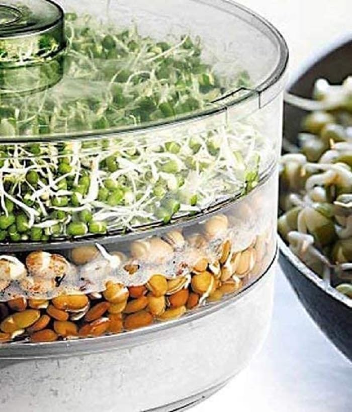 Shuttle Art 2025 Upgraded Plastic Hygienic Sprout Maker Box with 4 Container Organic Home Making Transparent Fresh Sprouts Makers for Home Sprouted Grains Seeds Dal Channa Chole Ragi - Image 3