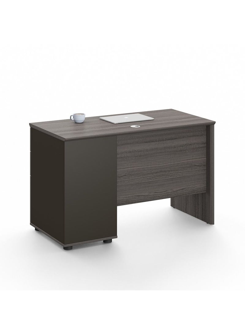 DANUBE HOME Hammel Executive Office Desk- Dark Teakwood  - Image 3