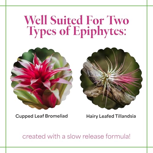 Grow More Bromeliad Tillandsia Food (17-8-22) - 1.25lbs of Water Soluble Air Plant Fertilizer - Slow Release Fertilizer for Outdoor & Indoor Plants - Air Plant Food for Vibrant Growth & Blooms - Image 3