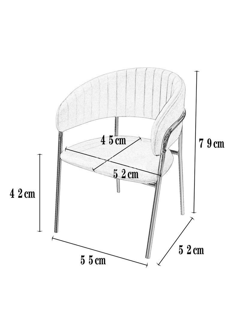 MAPLE HOME DECORATION Maple Home Dining Chairs Velvet Cushion Seat, Stainless Steel Golden Legs Dining Room Chair  - Image 5