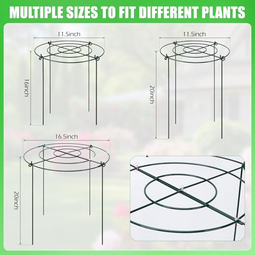 YIBOBO Peony Cages and Supports 8 Pack, 11.5 x 20 Inch Heavy Duty Plant Support Cage Set for Peonies, Roses & Tomatoes – Garden Stakes & Plant Cages for Outdoor Plants (8 Pack, 11.5 x 20 Inch) - Image 3