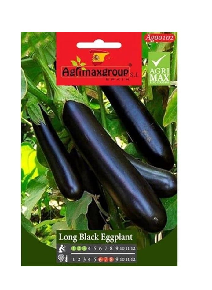 بذور الباذنجان الأسود الطويلة ذات الجودة العالية