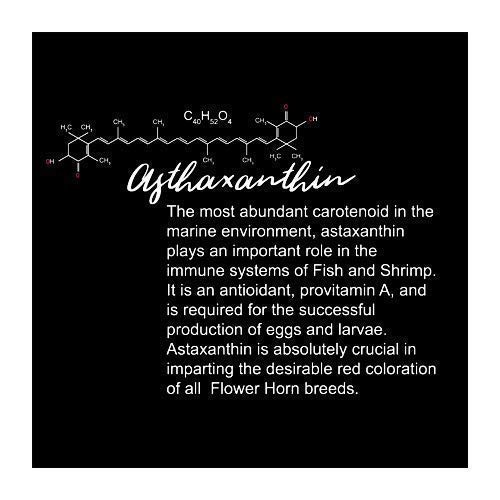 TAIYO طعام سمك فلاورهورن تايو أمبر ماكس برو (L)، 100 جرام - لجميع مراحل الحياة، مسحوق، سمك - Image 5