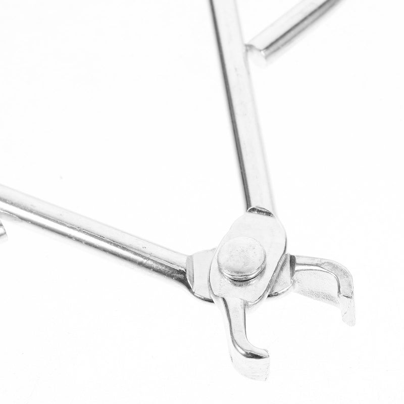 Stainless Steel Pine Nut Cracker Tool Wear Resistant Portable Design for Home Use - Image 4