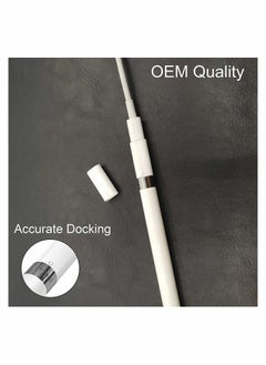 KASTWAVE Pencil Tips Compatible with Apple Pencil - iPencil Apple iPad Pro Pencil Replacement Cap Magnetic for iPad Pro 10.5 inch 12.9 inch 9.7 inch Apple Pencil, White  - Image 5