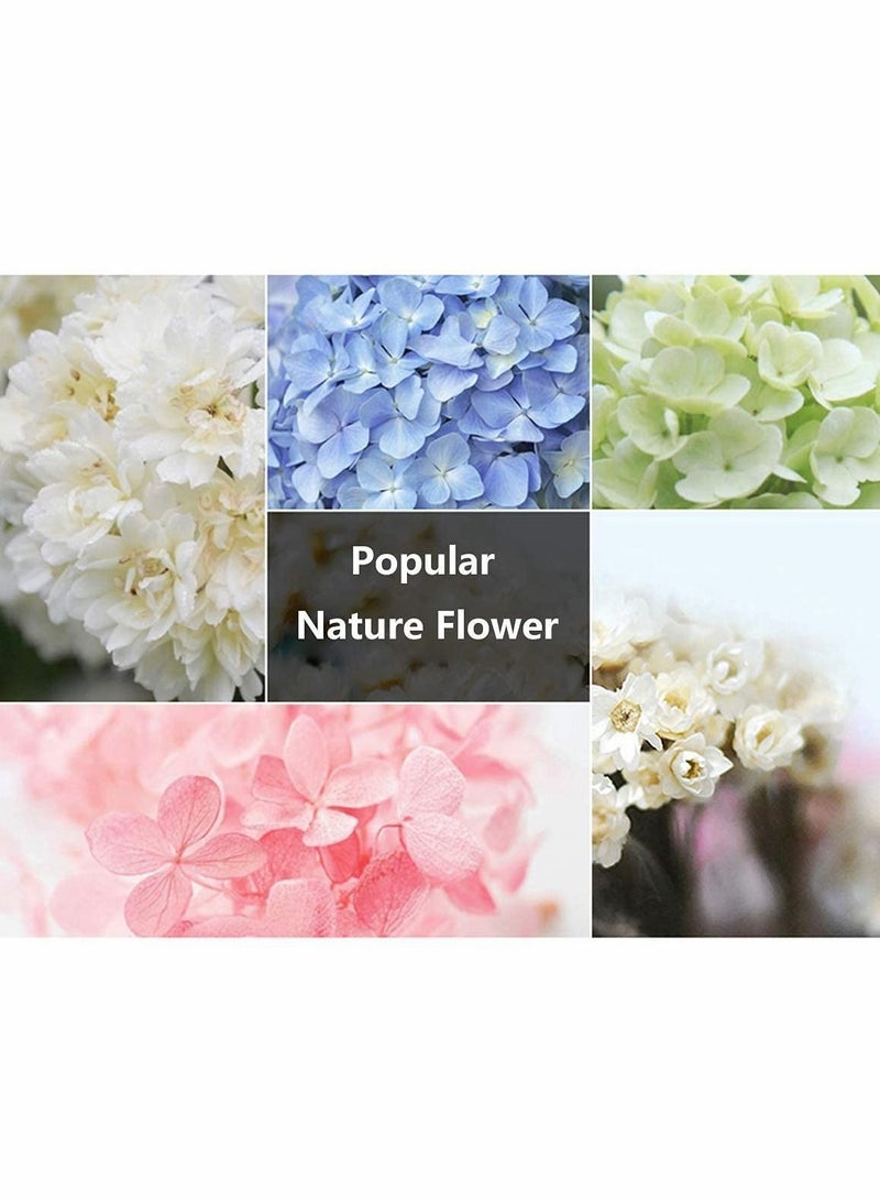 Y&D Car Air Freshener Perfume Bottle Empty Refillable Hanging Diffuser Pendant Essential Oil Fragrance Aromatherapy Decor 4 Pcs - Image 4