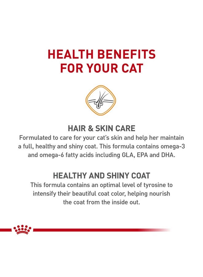 ROYAL CANIN طعام قطط جاف للبالغين بالدجاج، تركيبة الشعر والجلد 33، كيس 3.5 باوند - Image 3