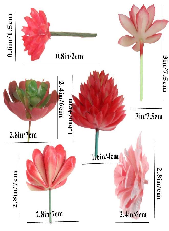 Zhiheng 12PCS Red Assorted Artificial Succulent Plant Faux Unpotted Fake Succulents Textured Cactus Stems Cacti Aloe Succulent In Different Artificial Hanging String of Pearls Plant For Wedding For Home Decor  - Image 1