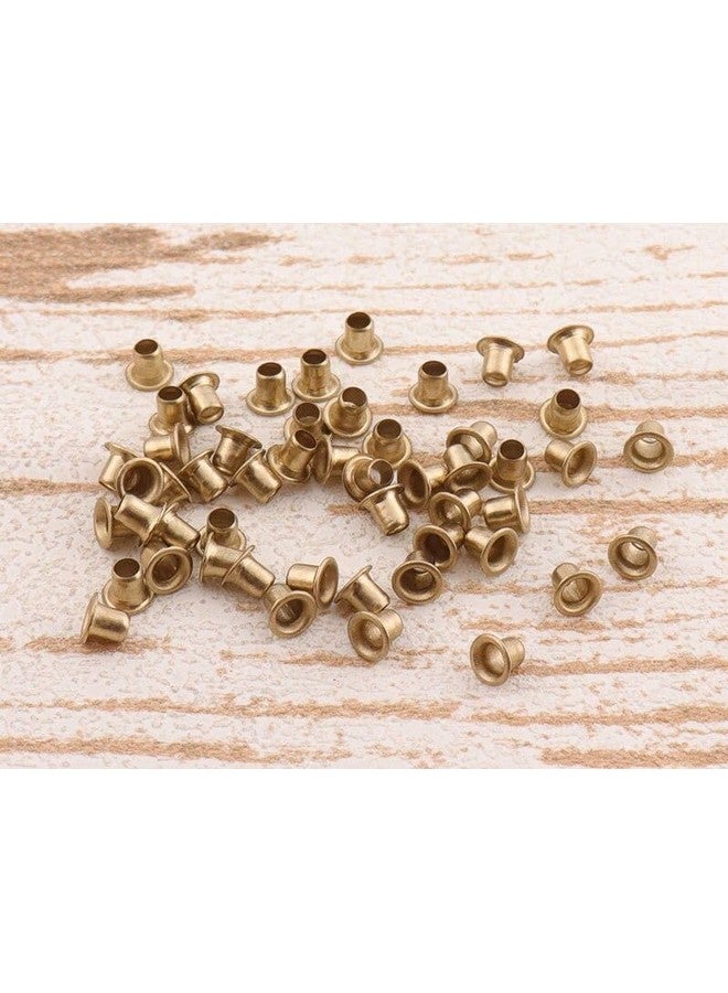 Zenith Combo of Copper, Silver, and Antique Metal Eyelets - 750 Pieces - Round Grommets for Crafts and Accessories | Lightweight and Heavy Duty | Suitable for Clothing, Shoes, Bags and Suitcases - Image 3