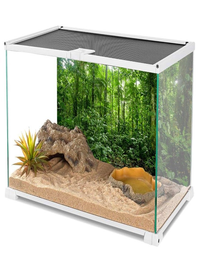 AWERT 48x20 inches Terrarium Background Tropical Aquarium Background Green Huge Tree Rainforest Reptile Habitat Background - Image 3