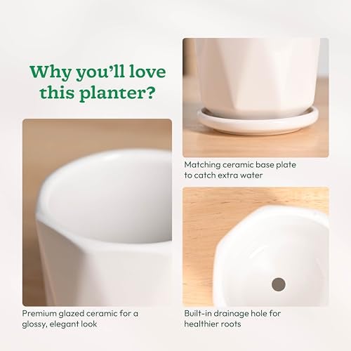 UGAOO Diamond Ceramic Pot |Indoor Ceramic Planter for Home, Office, Garden, Balcony - White (4 Inch) - Image 4