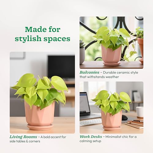 UGAOO Diamond Ceramic Pot |Indoor Ceramic Planter for Home, Office, Garden, Balcony - White (4 Inch) - Image 3