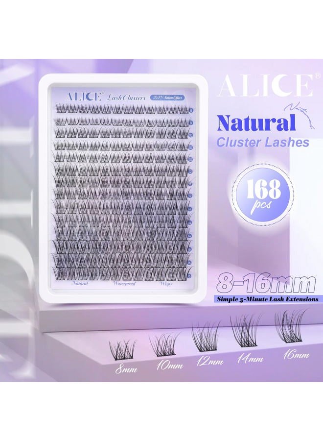 Alice Natural Lash Clusters Wispy Cluster Eyelash Extensions 168pcs Individual Lashes 8-16mm C-Curly DIY Lash Extension Natural Look Soft Thin Band Cluster Lashes by ALICE - Image 2
