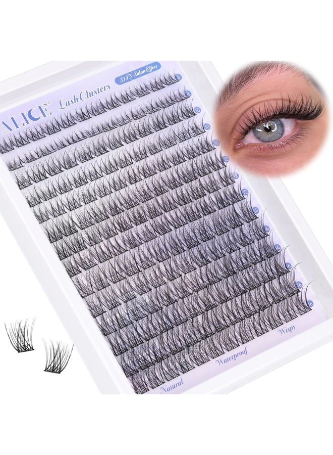 Alice Natural Lash Clusters Wispy Cluster Eyelash Extensions 168pcs Individual Lashes 8-16mm C-Curly DIY Lash Extension Natural Look Soft Thin Band Cluster Lashes by ALICE - Image 1