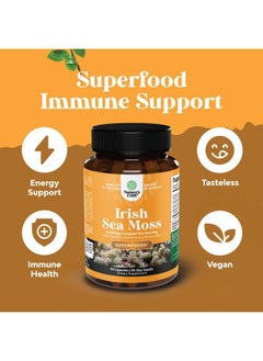 Natures Craft Organic Irish Sea Moss Capsules - Organic Sea Moss Pills with 2100mg Serving Superfood Complex with Bladderwrack Burdock Root and BioPerine for Immune Skin & Thyroid Support - Vegan Non-GMO (1 Month)  - Image 3