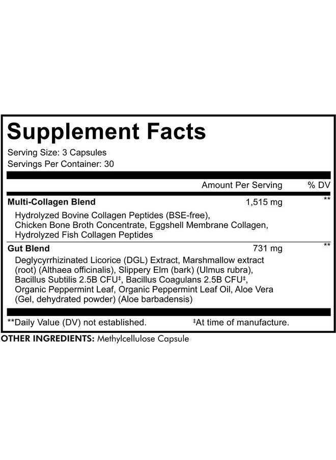 Codeage Multi Collagen + Gut Blend Supplement Digestive Probiotics Dgl Licorice Aloe Vera Organic Peppermint Leaf Hydrolyzed Collagen Pills Type 1 2 3 5 & 10 Nongmo 90 Capsules  - Image 3