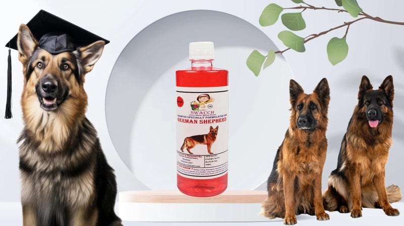 Swacch Shampoo Specially Formulated for German Shepherd (500ml) Strawberry - Image 2