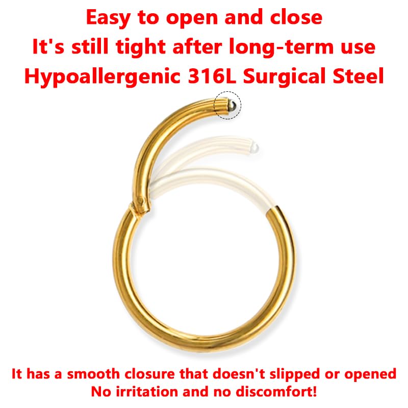 AMASIS 3Pcs 20G Gold Nose Rings Hoop for Women Men,Hypoallergenic 316l Surgical Steel Hinged Clicker Segment Nose Rings Hoop Helix Cartilage Daith Tragus Sleeper Earrings Real Body Piercing Jewelry Diameter 6mm 8mm 10mm - Image 3