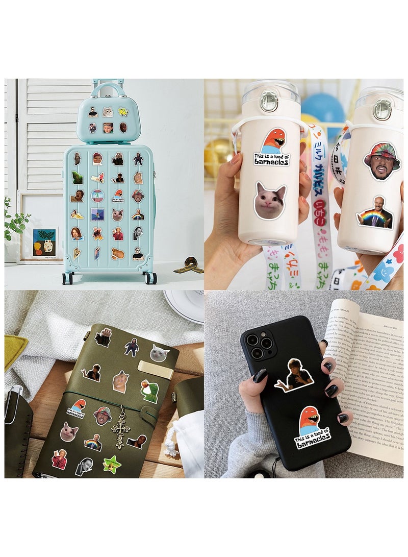 100Pcs Funny Meme Vinyl Stickers Pack DIY Vine Stickers For Laptop Phone Water Bottles Computer