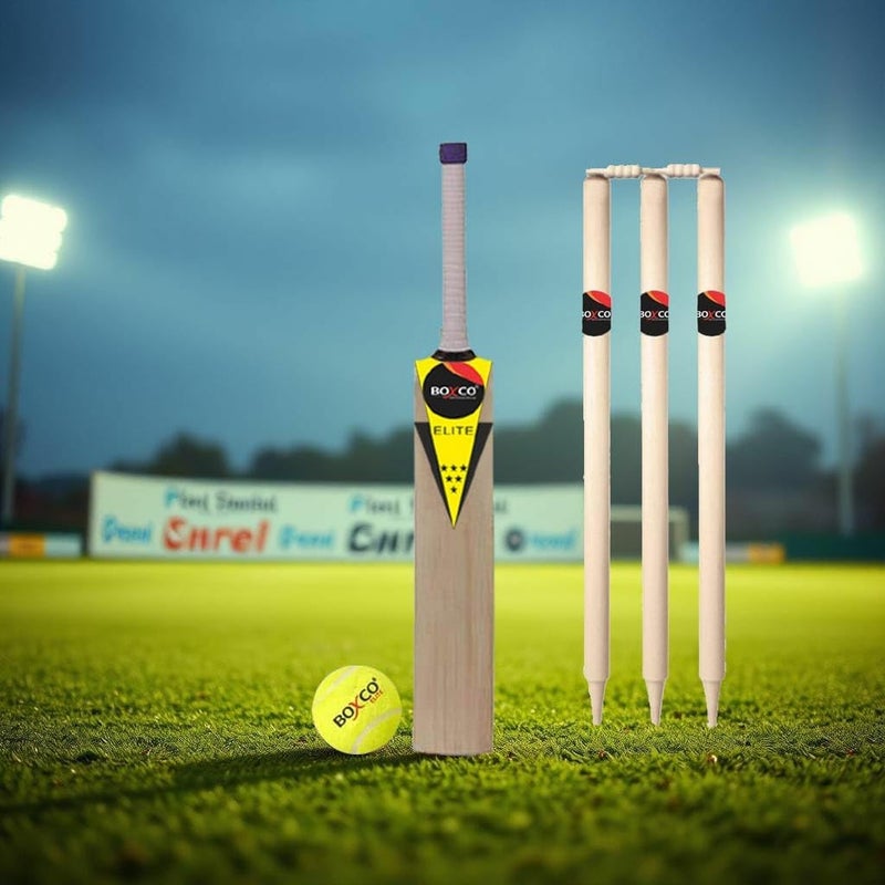 BOXCO طقم كريكيت متميز مع مضرب، كرة تنس، أعمدة، حواجز، حقيبة (من عمر 9 إلى 12) - Image 2