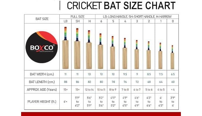 BOXCO طقم كريكيت متميز مع مضرب، كرة تنس، أعمدة، حواجز، حقيبة (من عمر 9 إلى 12) - Image 3