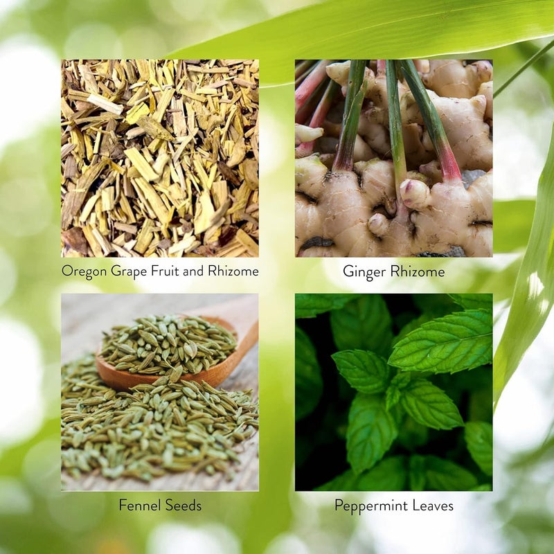 Nature's Sunshine Gall Bladder Formula - 100 Capsules for Digestive Support - Image 5