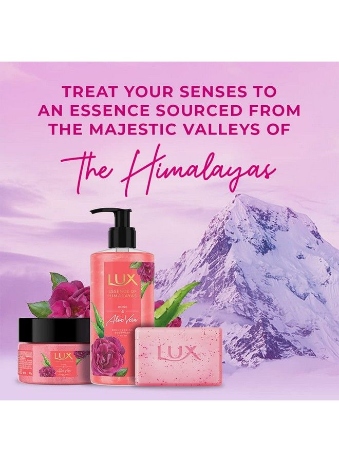 Lux Rose & Aloevera Exf Soap 5X125G - Image 5