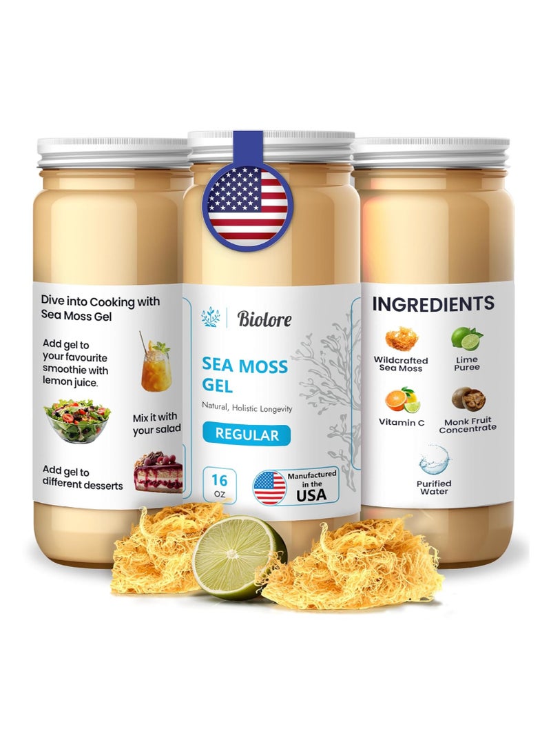 Sea Moss Gel Original Regular 16oz - pzsku/Z6B10CBD53165F0C9D881Z/45/_/1740563579/2a8a64c2-6c84-43fc-b010-d0fb964d5e3b