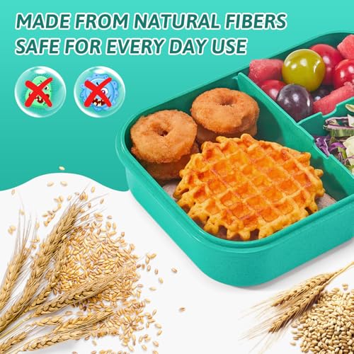 MISS BIG Bento Box for Kids, Leakproof Lunch Box, No BPAs & Chemical Dyes, M/W, D/W & Fridge Safe (1150ml Green) - Image 4