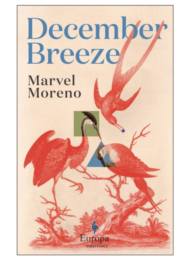 December Breeze : A masterful novel on womanhood in Colombia 