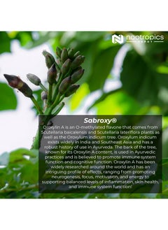 Nootropics Depot Sabroxy® Tablets ; 500Mg ; 30 Count ; Minimum 10% Oroxylina ; Oroxylum Indicum ; May Help Promote Focus & Motivation ; May Help Promote Cognitive Function  - Image 5