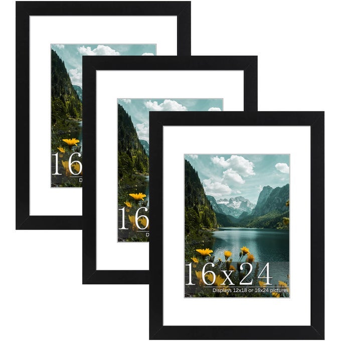 16X24 PICTURE FRAME 3 PACK BLACK POSTER FRAME DISPLAY POSTER 12 X 18 WITH MAT OR 16 X 24 WITHOUT MAT FOR HORIZONTAL OR VERTICAL WALL MOUNTING