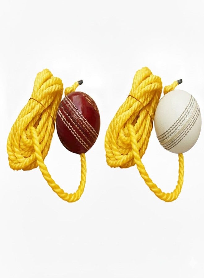 Skygold Leather Match Practice Hanging Cricket Ball (White & Red) Pack of 2 - Image 1