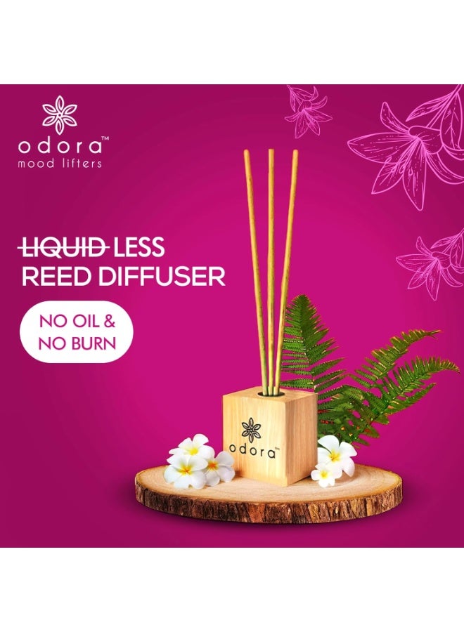 Odora Liquidless Reed Diffuser - Fern and Frangipani, Infused with Essential Oils, Long Lasting Fragrance Lasts Upto 30 Days, No Burn No Oil, Biodegradable, Room Freshener for Home, 6 Wooden Reeds - Image 2