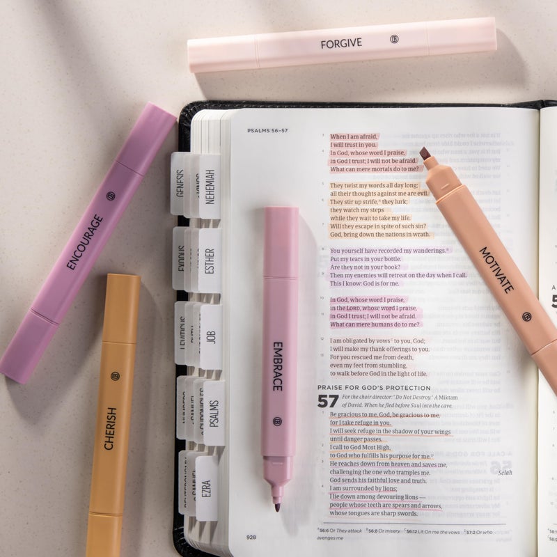 DIVERSEBEE Bible Highlighters Assorted Colors, 5 Pack No Bleed Dual Tip Aesthetic Pastel Highlighter Pens for Journaling, Note Taking, School, Bible Study Supplies and Accessories (Rose) - Image 2