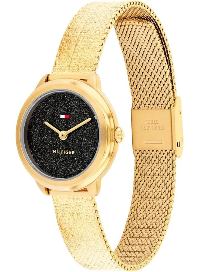 TOMMY HILFIGER Steel Strap Analog Watch