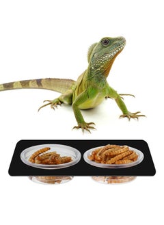 EBOOT 500 Pcs Gecko Food and Water Cups Small Plastic Feeder Cups Reptiles Accessories Reptile Water Bowl Gecko Food Cups Reptile Feeding Bowls for Gecko Lizards Tarantula and Other Small Pets (0.5oz) - pzsku/Z6B17B2DC602F250405C0Z/45/_/1737031383/7227e767-67b5-447d-9c3a-95b5e4384a60