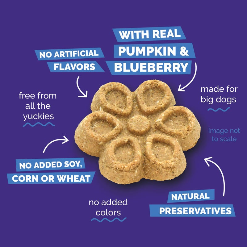 Fruitables Biggies Dog Biscuits, Healthy Treats for Dogs, Doggie Biscuits, Crunchy Pumpkin Treats, Made Without Wheat, Corn and Soy, Made in The USA, Pumpkin and Blueberry Flavor, 16oz - Image 5