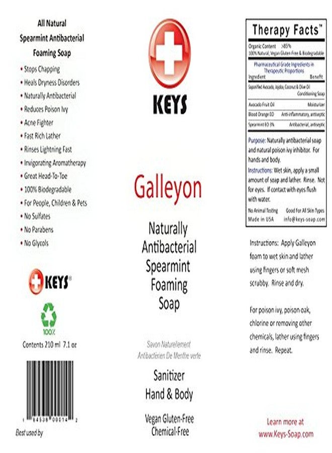 Keys Galleyon All Natural Antibacterial Foaming Spearmint Castile Soap Sanitizer for Hand and Body, 100% Biodegradable Rich Conditioning Oils for People, Children, Pets, Vegan, Gluten Free, 7.9 ounces - Image 2