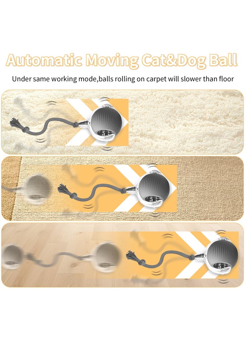 Interactive Cat Toys for Indoor Cats, Agile Moving Cat Ball with Elastic Tail,Automatic Cat/Kitten Toys for Bored Indoor Adult Cats,Motion Activated