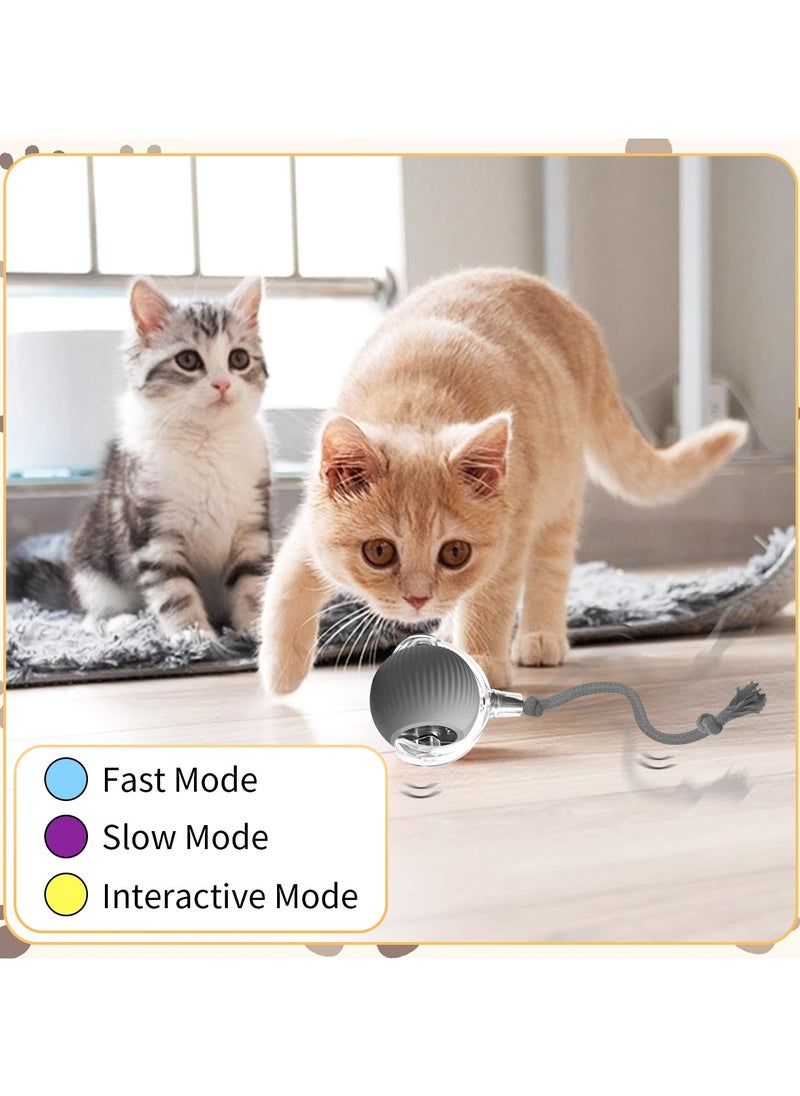Interactive Cat Toys for Indoor Cats, Agile Moving Cat Ball with Elastic Tail,Automatic Cat/Kitten Toys for Bored Indoor Adult Cats,Motion Activated