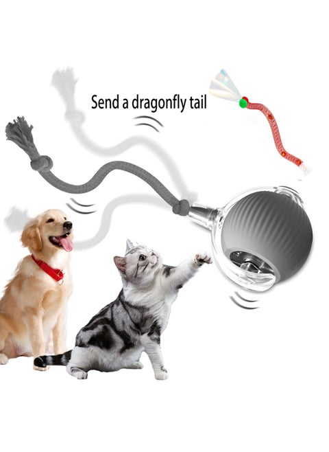 Interactive Cat Toys for Indoor Cats, Agile Moving Cat Ball with Elastic Tail,Automatic Cat/Kitten Toys for Bored Indoor Adult Cats,Motion Activated
