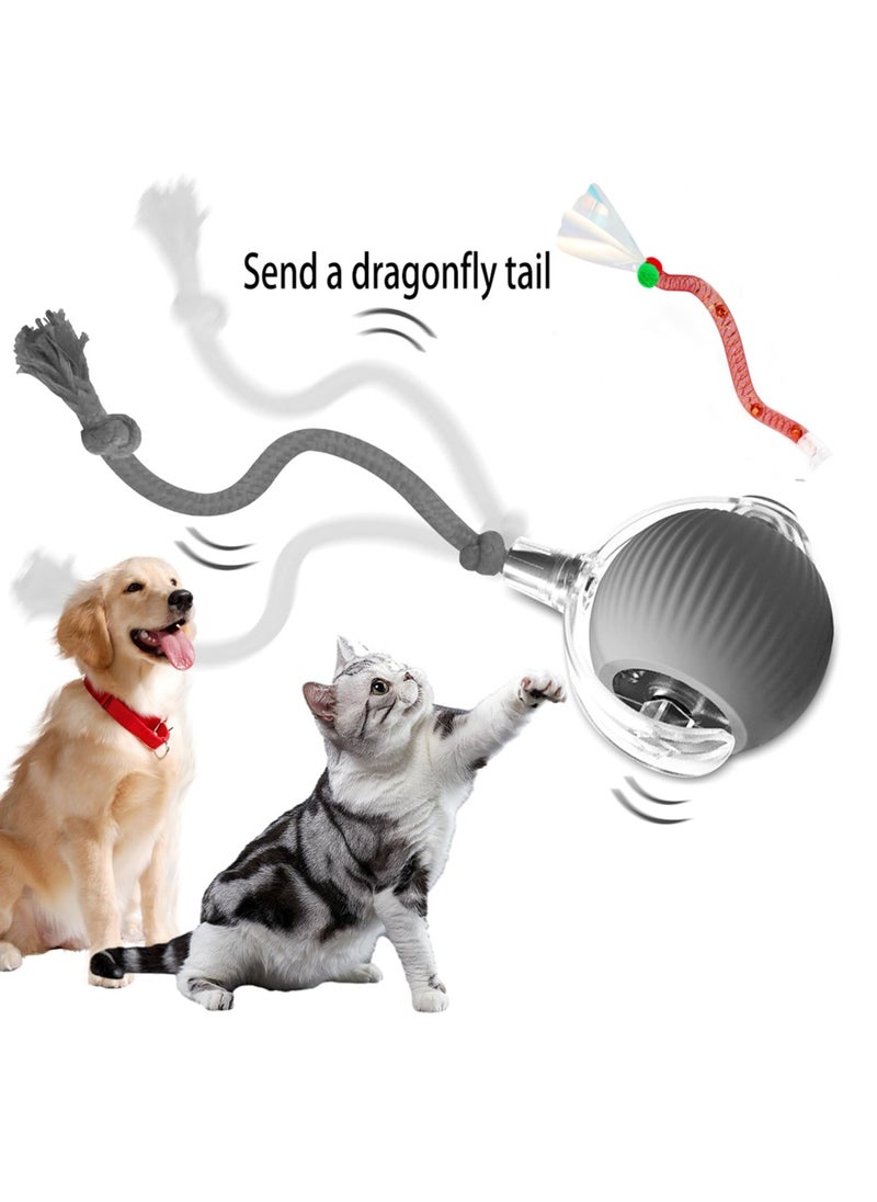 Interactive Cat Toys for Indoor Cats, Agile Moving Cat Ball with Elastic Tail,Automatic Cat/Kitten Toys for Bored Indoor Adult Cats,Motion Activated