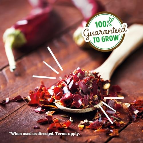 Back to the Roots Non-GMO Chili Planter, Grow Organic Chili Peppers Year Round, Windowsill Grow Kit, Top Gardening Gift, Holiday Gift, & Unique Gift - Image 2