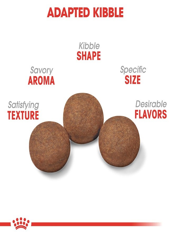 رويال كانين طعام الكلاب الجاف رويال كانين سايز هيلث نيوتريشن متوسط الحجم للجراء، كيس 4 أرطال - Image 3